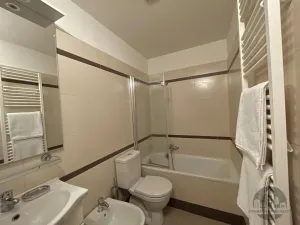 Pronájem bytu 2+kk, Praha - Vinohrady, Řipská, 60 m2