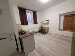 Pronájem bytu 1+1, Brno, Palackého třída, 43 m2