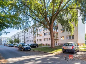 Prodej bytu 3+kk, Pardubice - Polabiny, Družstevní, 60 m2
