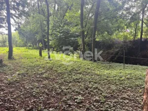 Prodej pozemku, Halenkovice, 3756 m2