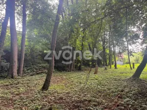 Prodej pozemku, Halenkovice, 3756 m2