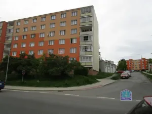 Pronájem bytu 3+1, Stříbro, Palackého, 78 m2