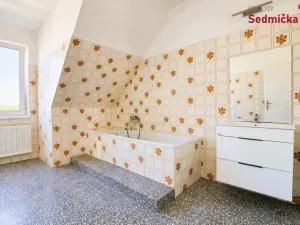 Prodej rodinného domu, Únanov, 300 m2