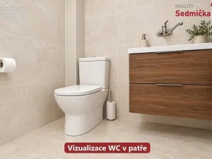 Prodej rodinného domu, Únanov, 300 m2