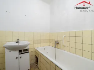 Prodej bytu 2+1, Ústí nad Labem - Střekov, Myslbekova, 66 m2
