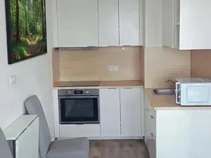 Pronájem bytu 1+kk, Plzeň, Pecháčkova, 42 m2