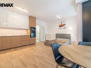 Pronájem bytu 1+kk, Praha - Žižkov, Kaplířova, 39 m2