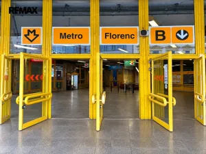 Pronájem bytu 1+kk, Praha - Žižkov, Kaplířova, 39 m2