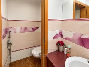 Pronájem kanceláře, České Budějovice - České Budějovice 1, Hroznová, 276 m2