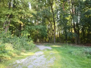 Prodej chaty, Řenče - Vodokrty, 44 m2