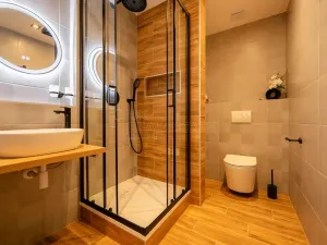 Pronájem bytu 1+kk, Planá, Bohušova, 31 m2