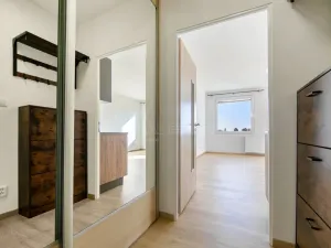 Pronájem bytu 1+kk, Planá, Bohušova, 31 m2