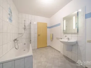 Prodej chalupy, Oloví - Hory, 105 m2