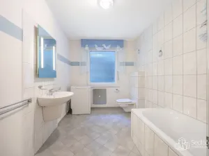 Prodej chalupy, Oloví - Hory, 105 m2