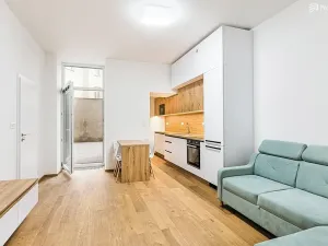 Pronájem bytu 2+kk, Brno, Stavební, 50 m2