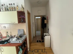 Prodej bytu 1+1, Ostrava, Korunní, 51 m2