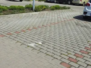 Pronájem bytu 2+kk, Sezimovo Ústí, náměstí Tomáše Bati, 53 m2