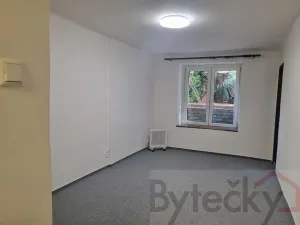 Pronájem bytu 1+1, Praha - Strašnice, Srbínská, 24 m2