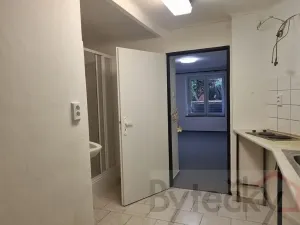 Pronájem bytu 1+1, Praha - Strašnice, Srbínská, 24 m2