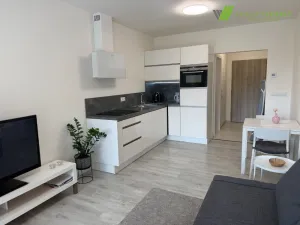 Pronájem bytu 1+kk, Hodonín, Očovská, 25 m2
