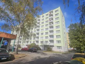 Prodej bytu 1+1, Strakonice - Strakonice II, Dukelská, 35 m2