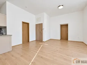 Pronájem bytu 2+kk, Olomouc - Hodolany, Holická, 48 m2