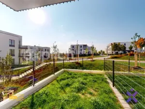 Pronájem bytu 2+kk, Olomouc - Nová Ulice, Karla Mareše, 59 m2