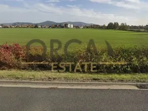 Prodej pozemku, Postřelmov, 9710 m2
