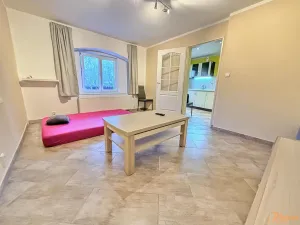 Pronájem bytu 2+1, Holubice, V Průhonu, 50 m2