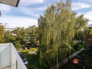 Prodej bytu 3+1, Karviná - Nové Město, Jurkovičova, 70 m2