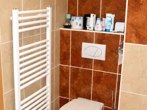 Pronájem bytu 2+kk, Praha - Malešice, Marciho, 58 m2