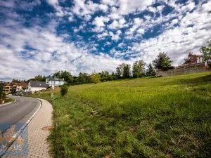 Prodej pozemku pro bydlení, Pozlovice, 5439 m2