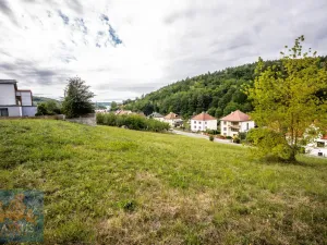 Prodej pozemku pro bydlení, Pozlovice, 5439 m2