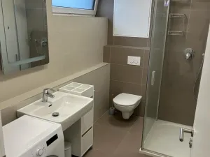 Pronájem bytu 1+kk, Olomouc, Rokycanova, 34 m2
