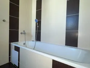 Pronájem bytu 2+1, Ústí nad Labem, Bratislavská, 53 m2