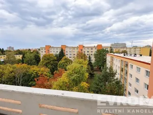 Prodej bytu 2+1, Praha - Břevnov, Šantrochova, 55 m2