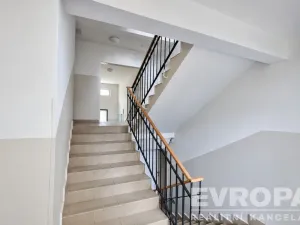 Prodej bytu 2+1, Praha - Břevnov, Šantrochova, 55 m2