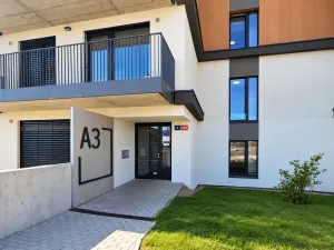 Pronájem bytu 2+kk, Praha, Haenkeho, 43 m2