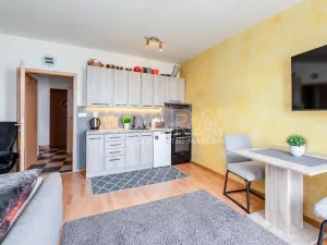 Pronájem bytu 1+kk, Strakonice - Strakonice I, Jezerní, 31 m2