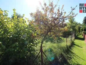 Prodej zahrady, Nové Město pod Smrkem, Husova, 468 m2