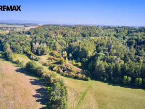 Prodej lesa, Račice nad Trotinou, 31440 m2