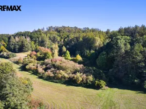 Prodej lesa, Račice nad Trotinou, 31440 m2