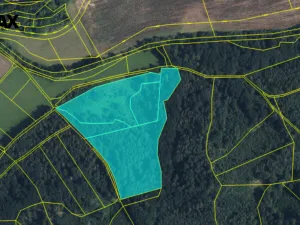 Prodej lesa, Račice nad Trotinou, 31440 m2