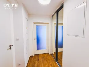 Pronájem bytu 2+kk, Plzeň, Šafaříkovy sady, 59 m2