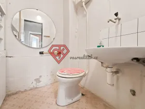 Prodej rodinného domu, Plchovice - Smetana, 200 m2