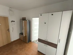 Pronájem bytu 3+1, Habartov, Karla Čapka, 69 m2