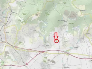 Prodej lesa, Podolí, 2418 m2