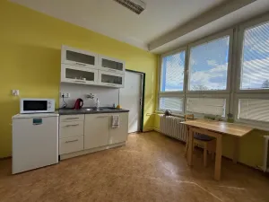Pronájem ordinace, Ústí nad Labem, Malátova, 160 m2