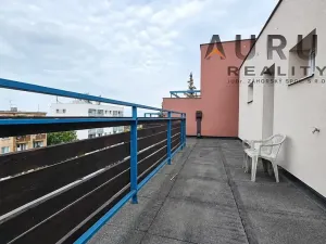 Pronájem bytu 4+1, Praha - Břevnov, Na Petřinách, 105 m2