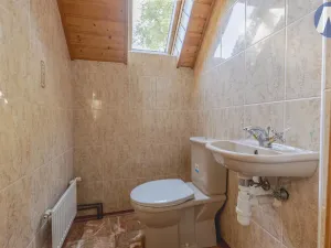Prodej zemědělské usedlosti, Stříbro, 200 m2
